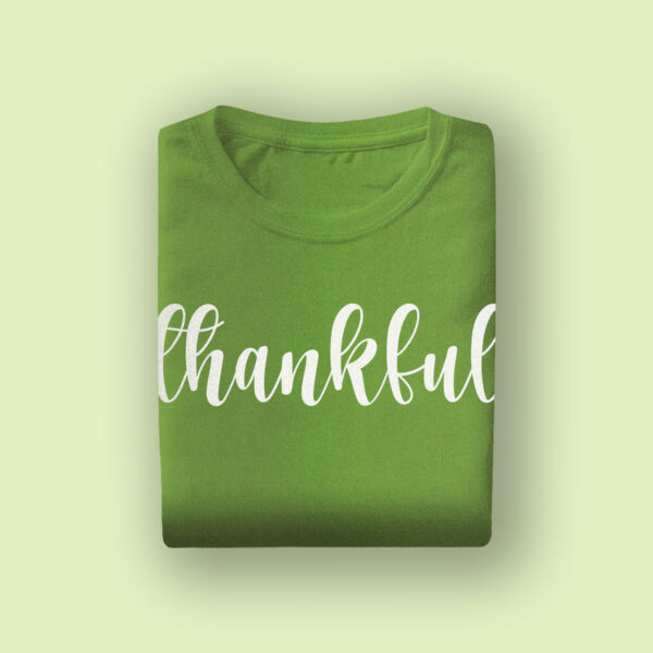 Green Design Rajwadi Shirt - Image 3